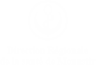 Navbar logo